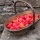 Fresh raspberry jellies (gluten-free; dairy-free; vegan)
