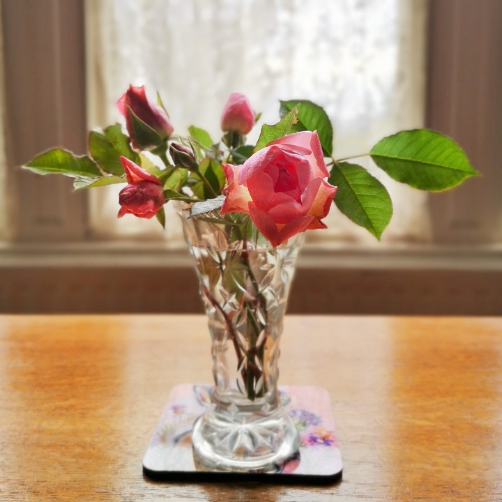Freshly_picked_pink_roses